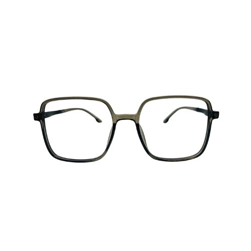 Buy Brown Transparent With lens